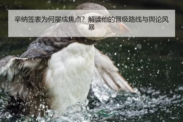 辛纳签表为何屡成焦点？解读他的晋级路线与舆论风暴